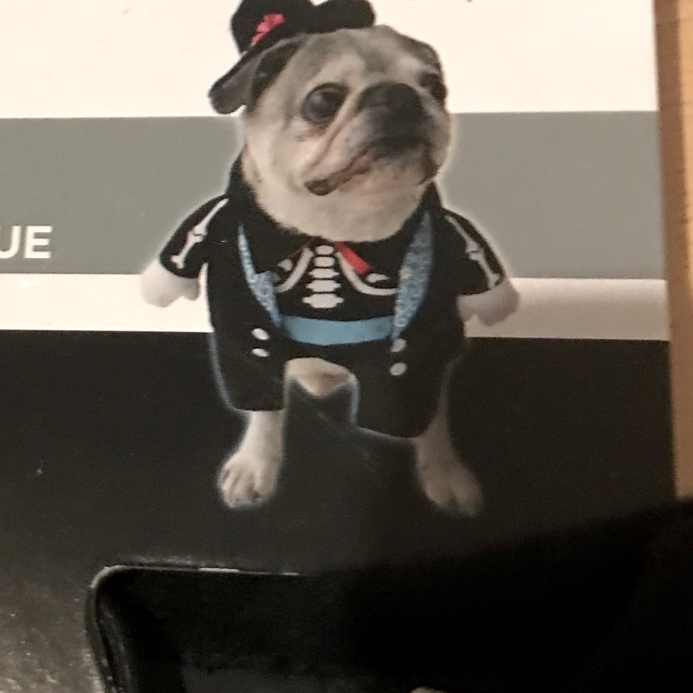 Pet costume | skeleton gentleman | NWT